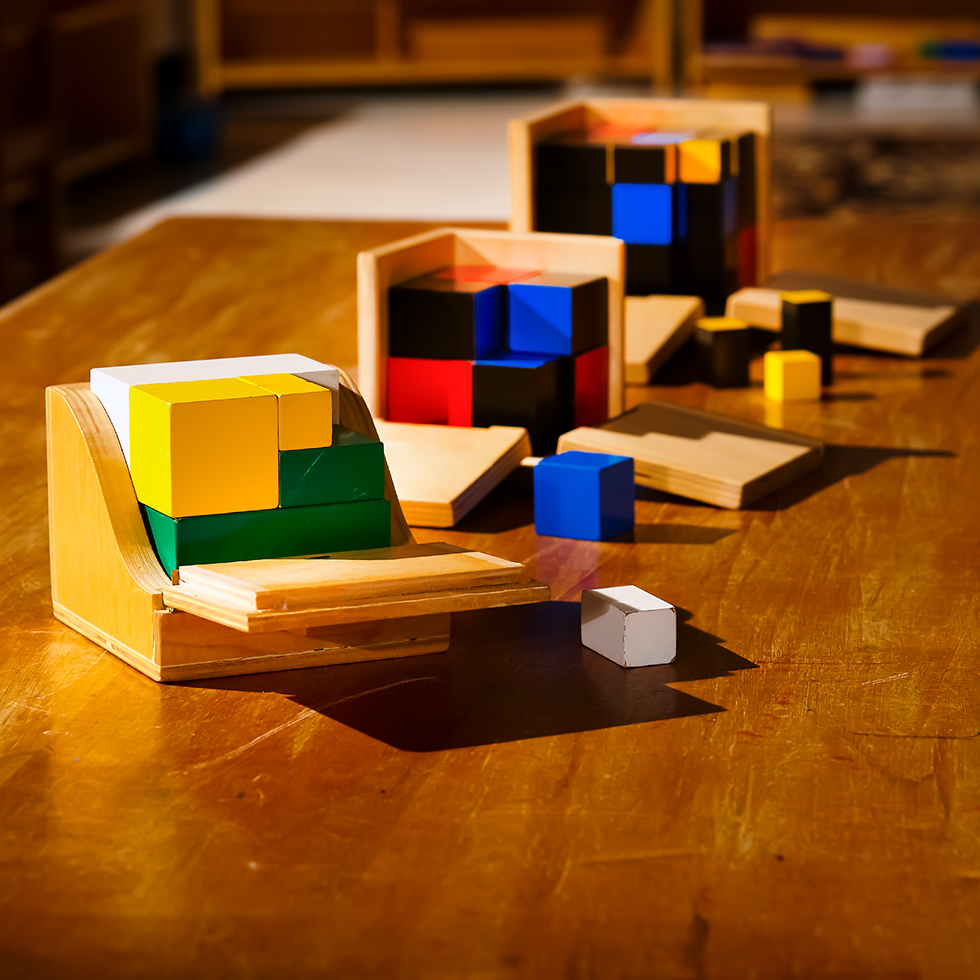 2022-0320-McDonald-Montessori-Schools-Childrens-House-Materials-Cubes-Mono-Bi-Tri-Nomial-Photo-by-Nick-Bergen-5705-980x980-1