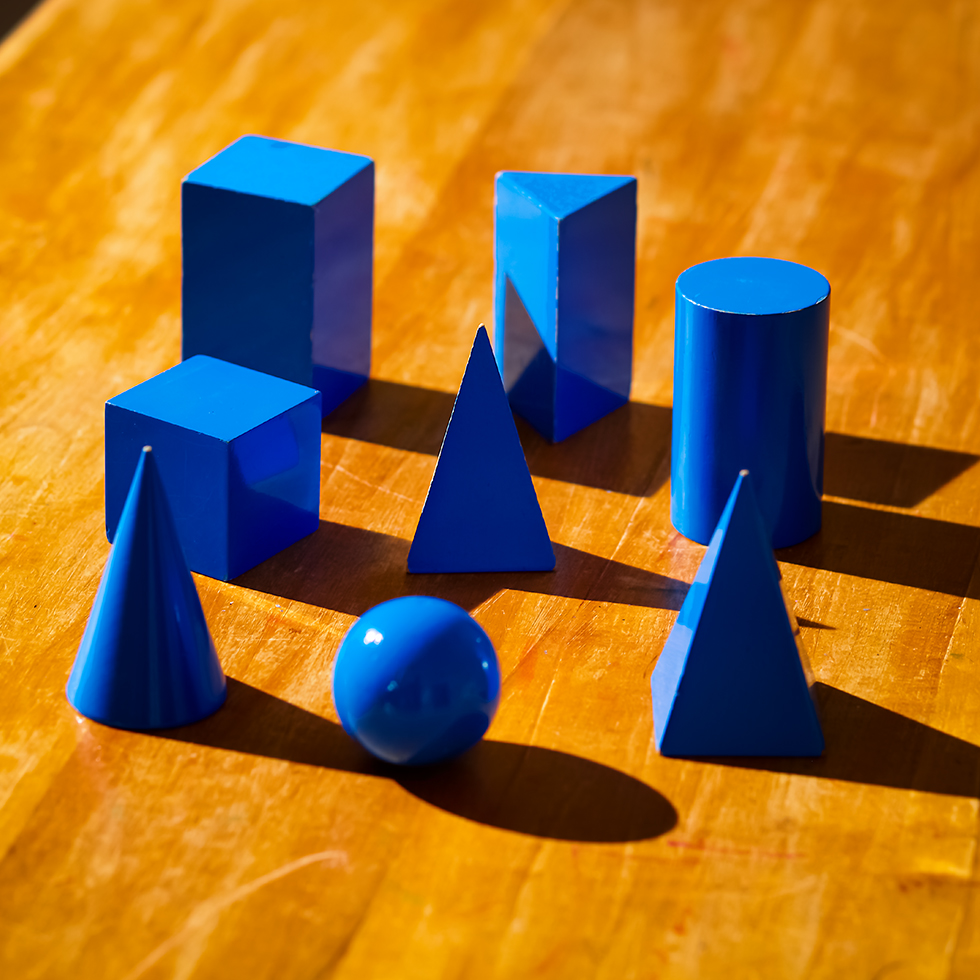2022-0320-McDonald-Montessori-Schools-Childrens-House-Materials-Geometric-Solids-Photo-by-Nick-Bergen-5660-980x980-1