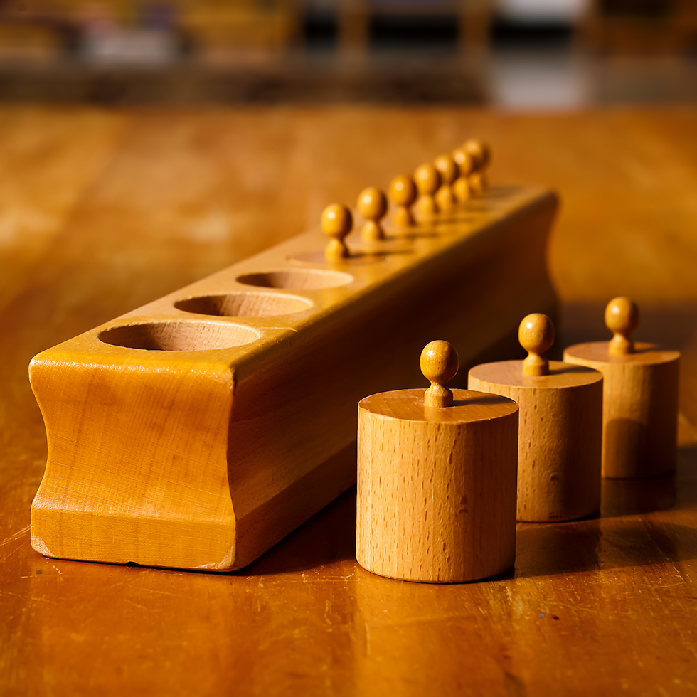 2022-0320-McDonald-Montessori-Schools-Childrens-House-Materials-Knobbed-Cylinders-Photo-by-Nick-Bergen-5531-980x980-1