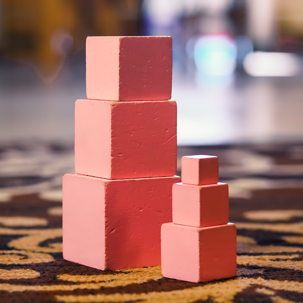 2022-0409-McDonald-Montessori-Schools-Childrens-House-Materials-Tower-Cubes-Photo-by-Nick-Bergen-5236-980x980-1